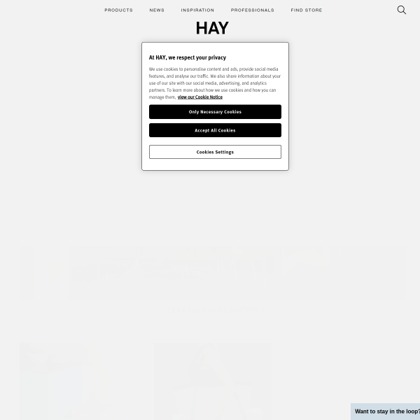 Website preview of Hay Huynh ApS