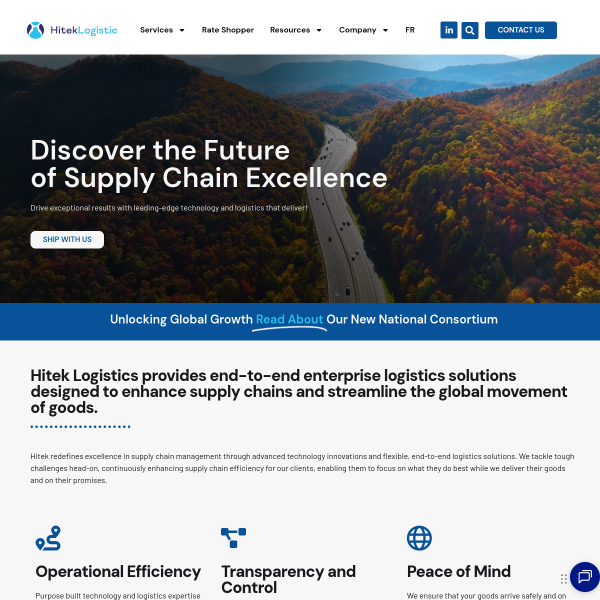 Website preview of hitek electric auto co