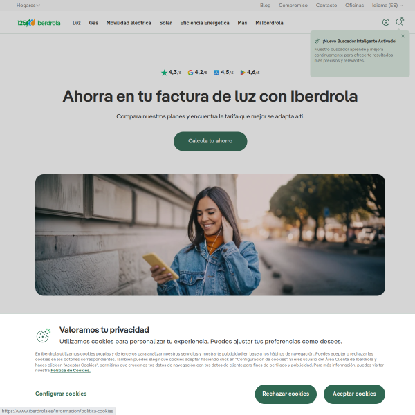 Website preview of iberdrola ingenieria y consultoria sa