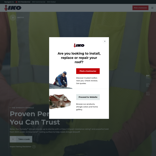 Website preview of IKO Solution