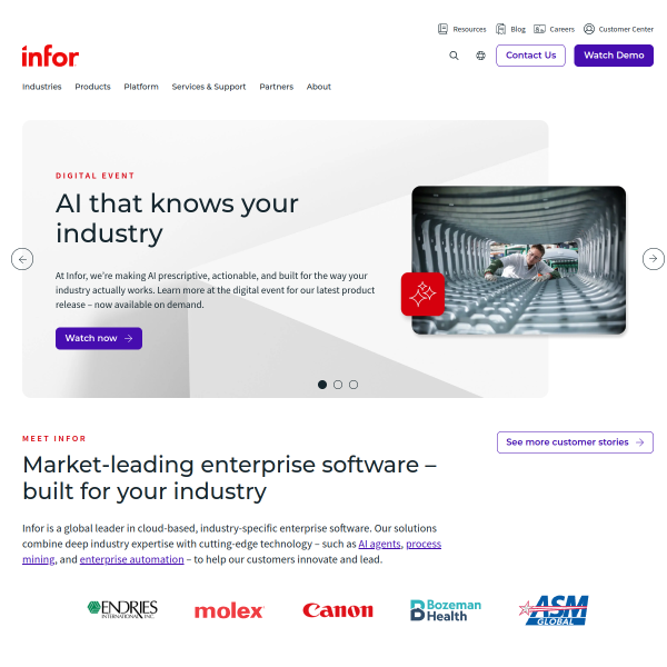 Website preview of Infor PL