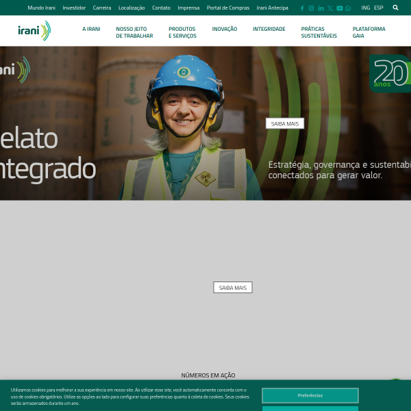 Website preview of IRANI GONCALVES