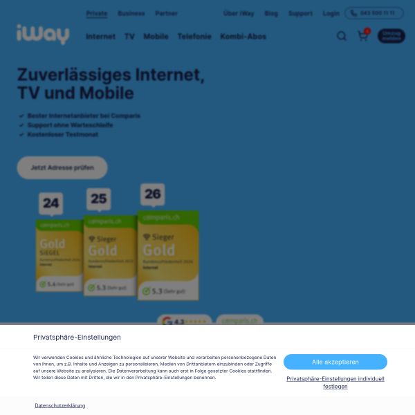 Website preview of iway digital