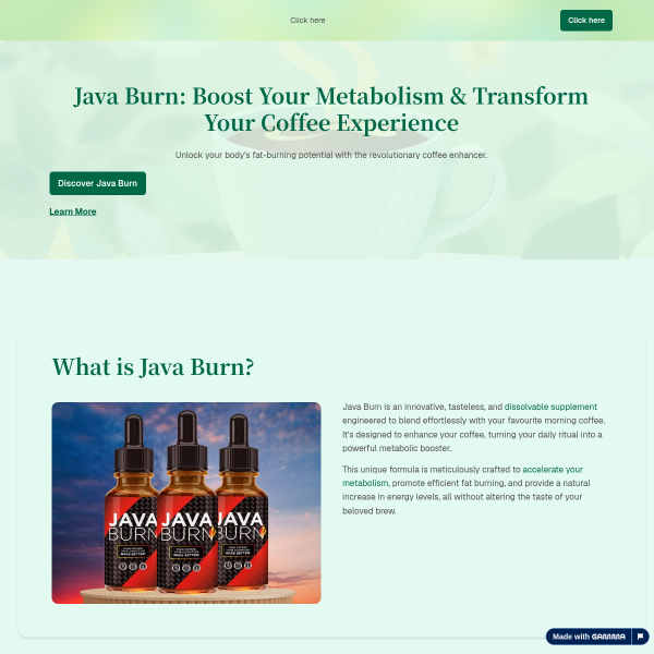 java-burn-2e39wvo.gamma.site