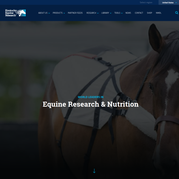 Website preview of KER INVEST