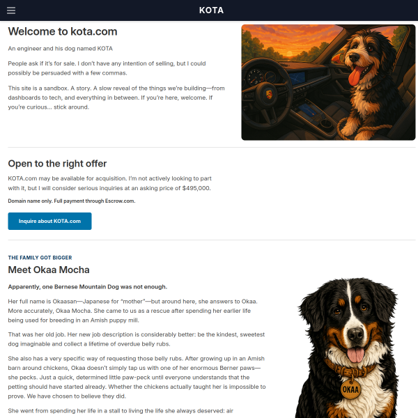 Website preview of Kota Career Point