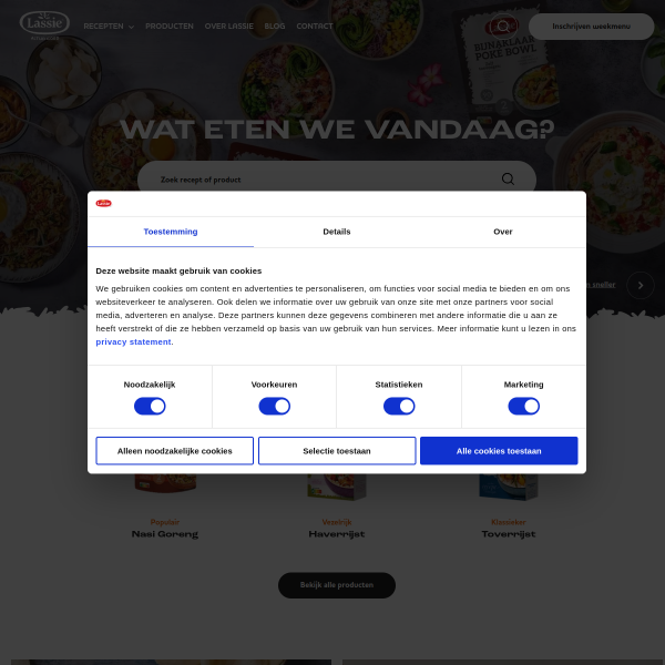Website preview of Lassie Nederland