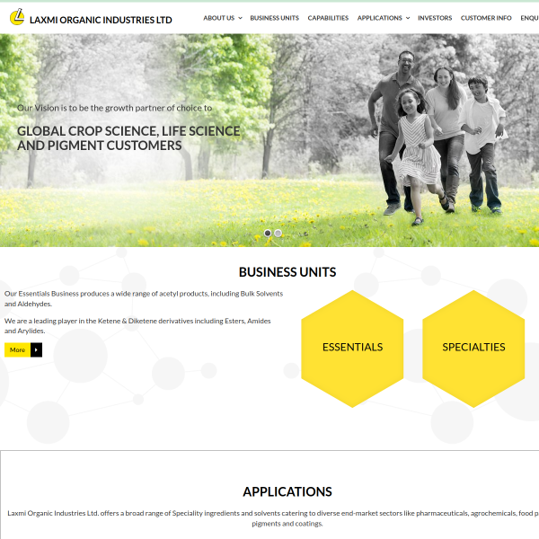 Website preview of Laxmi Bihar Mess