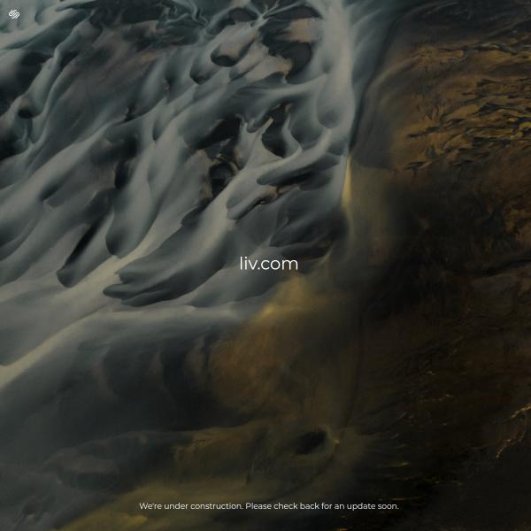 Website preview of LIV Village