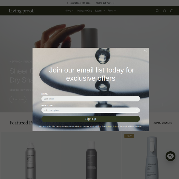 Website preview of LIVINGPROOF RECOVERY INC