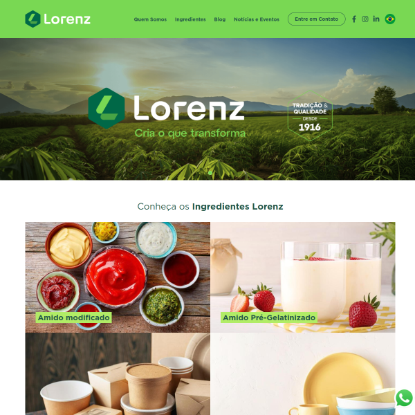 Website preview of LORENZ, DIAS & CIA. LTDA.