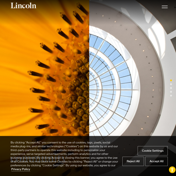 Website preview of LPC SWANN LLC