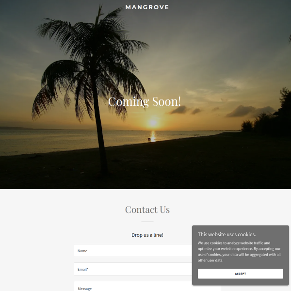 Website preview of MANGROVE INSURANCE EUROPE PCC LIMITED