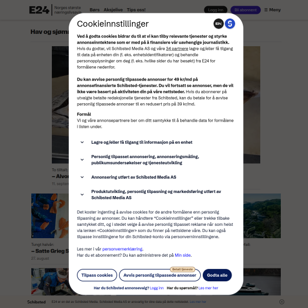 Website preview of MARITIME GROUP INTERNATIONAL AS