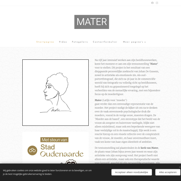 Website preview of Mater Hauwaart