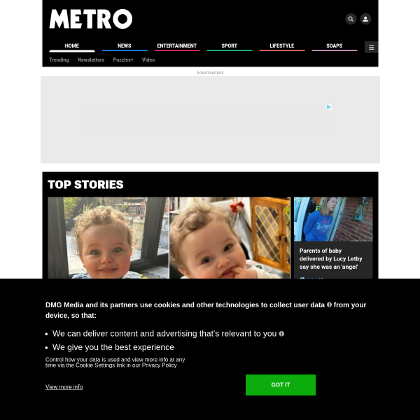 Website preview of METRO L & D HOLDINGS LIMITED