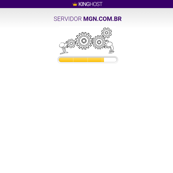 Website preview of MGN COMERCIO DE ROUPAS E MIUDEZES EM GERAL LTDA