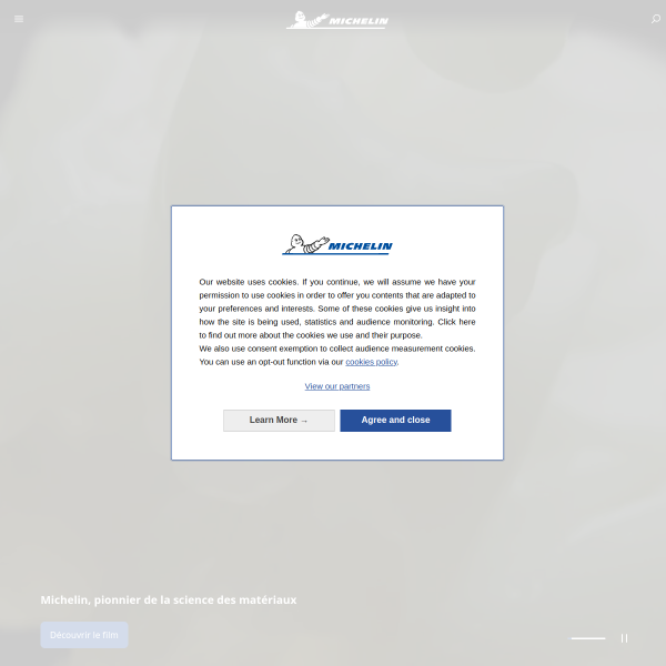 Website preview of Michelin Lapardas