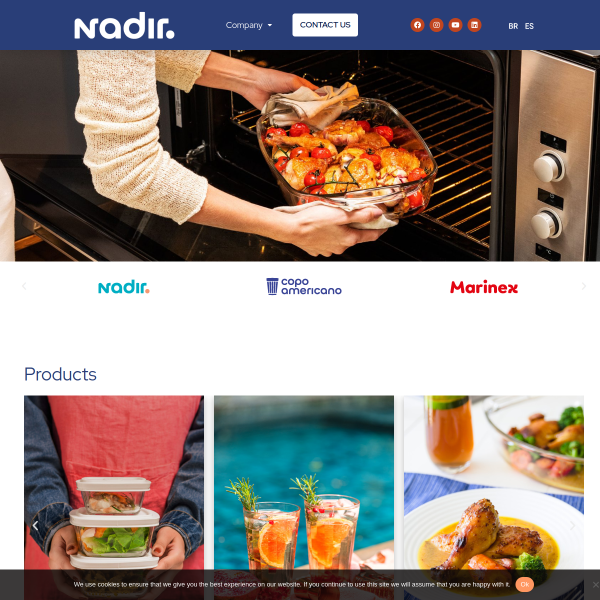 Website preview of NADIR JANUARIO FALDAO
