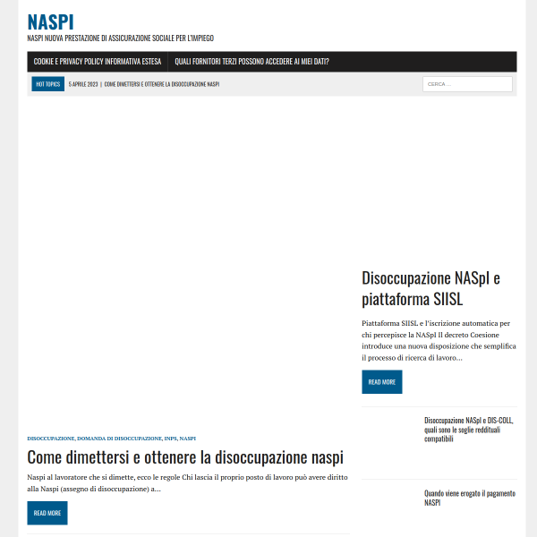 naspi.biz