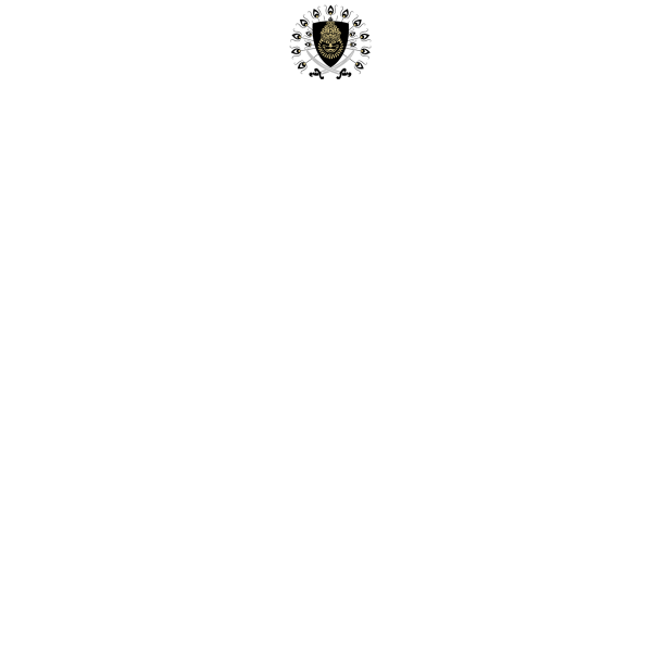Website preview of NAYAK AGENCIES PRIVATE LIMITED