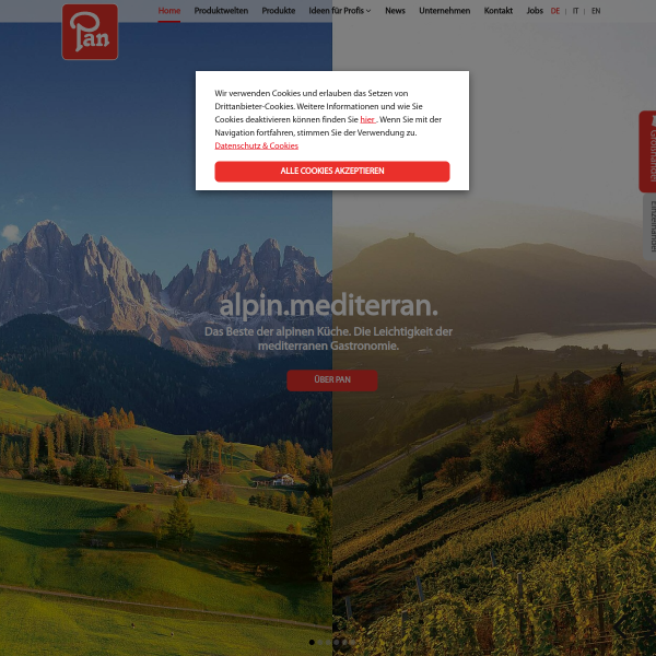 Website preview of PAN B ORIO S.R.L.
