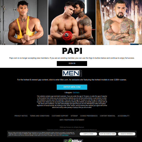 Website preview of Papi Todo