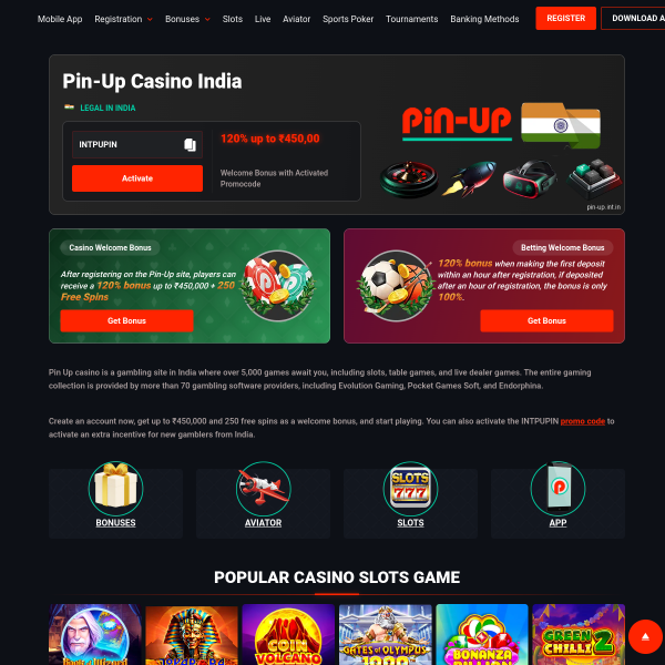 pinupsports.in