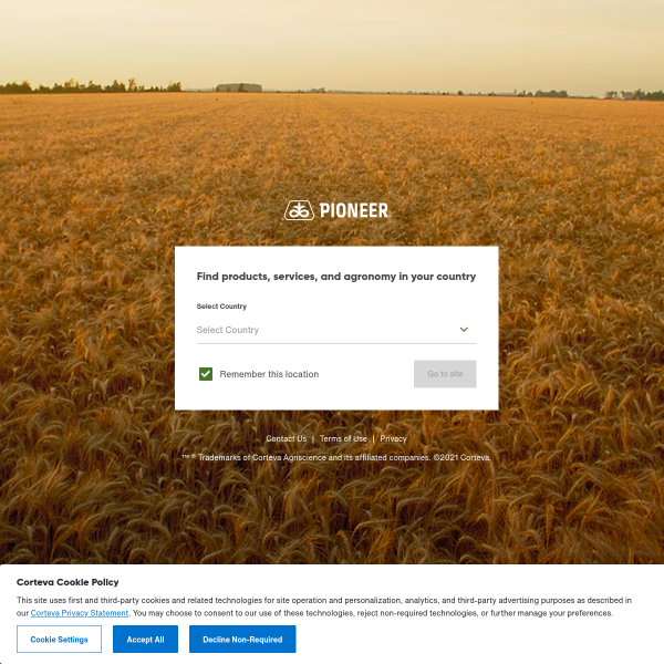 Website preview of Pioneer Creek Contracting