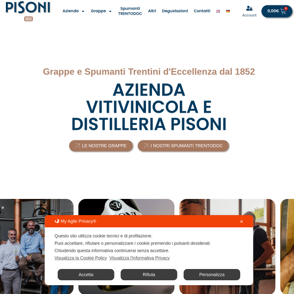 Website preview of PISONI GIUSEPPE