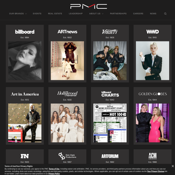 Website preview of PMC - The Professional Monitor Company Ltd.