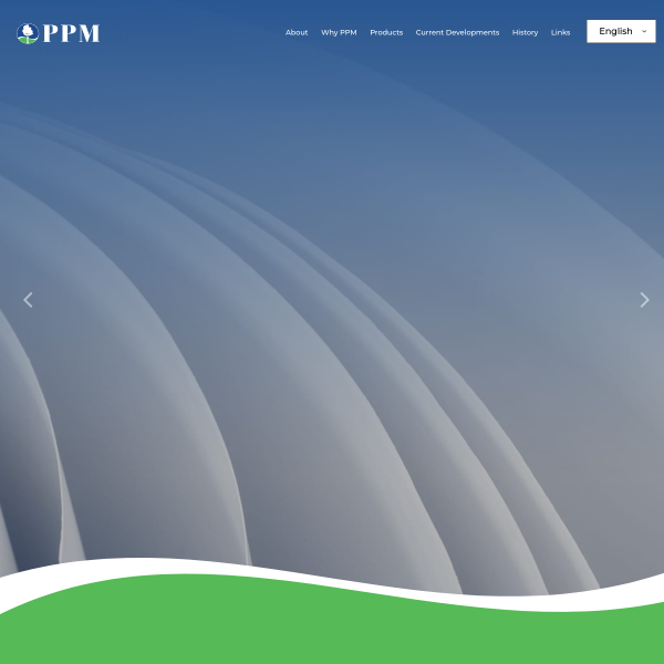 Website preview of Ppm Shoes Maker