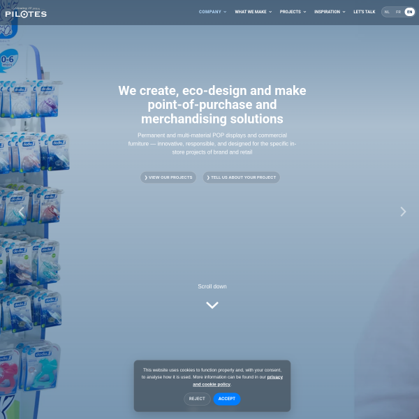 Website preview of promotion consultant