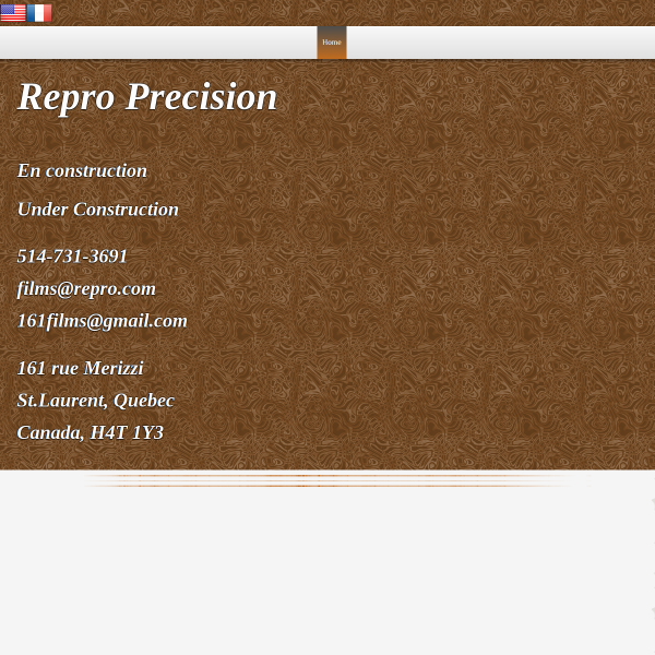 Website preview of Repro Drukkerij