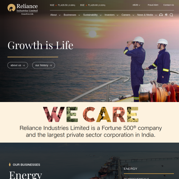 Website preview of RIL ry