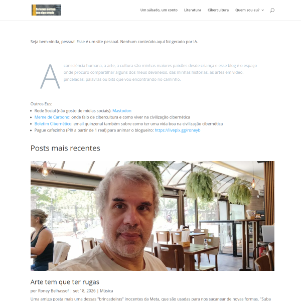 Website preview of RONEY JUNIOR IMIDIO DA SILVA
