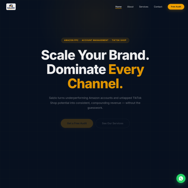 Salzio website screenshot