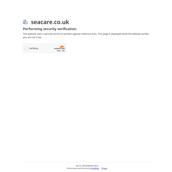 Website preview of SEACARE COMPASS BLAIRGOWRIE LIMITED