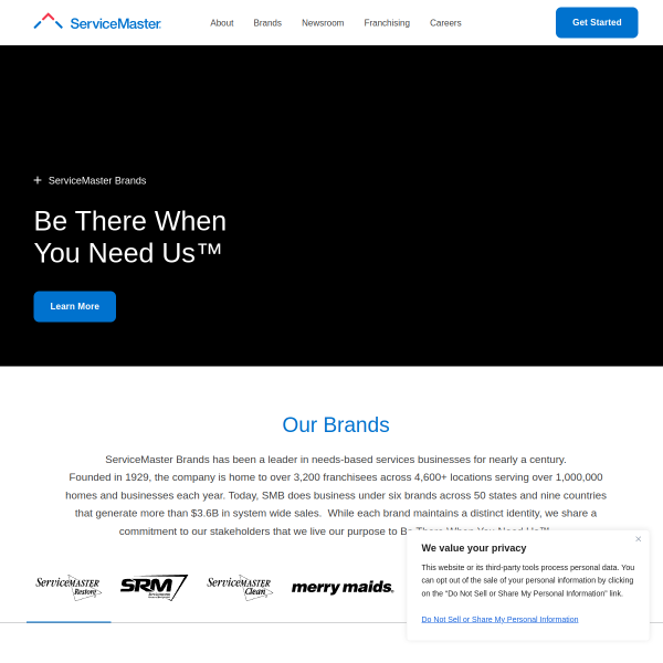 Website preview of ServiceMaster Professional Home and Disa