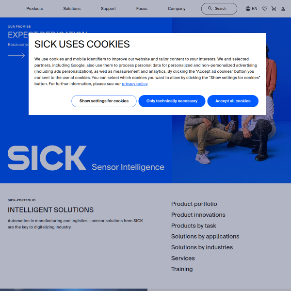 Website preview of Sick Joint