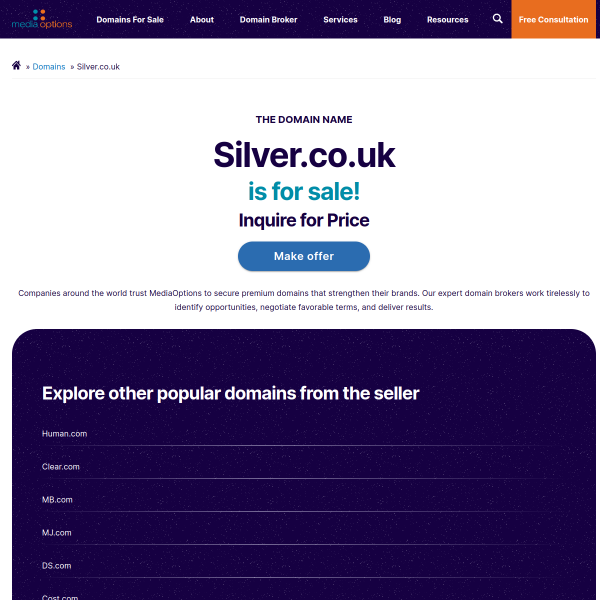 Website preview of SILVER SAKER LTD
