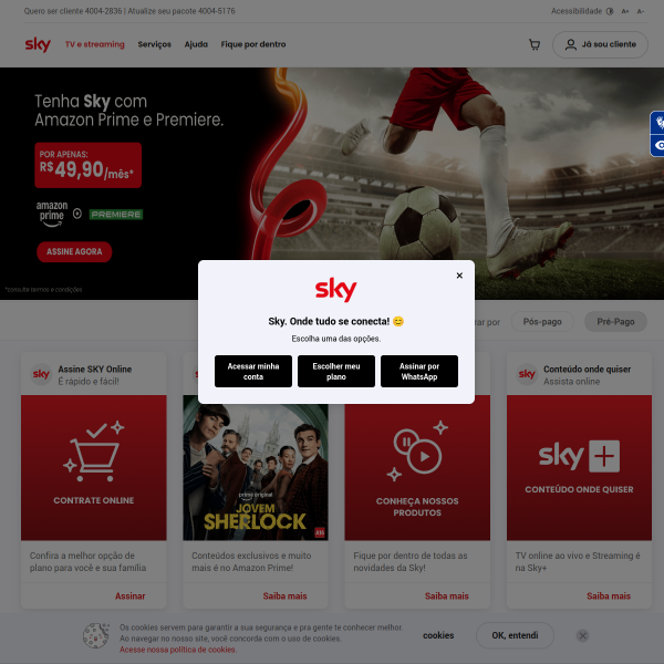 Website preview of SKY LINE VIAGENS E TURISMO LTDA