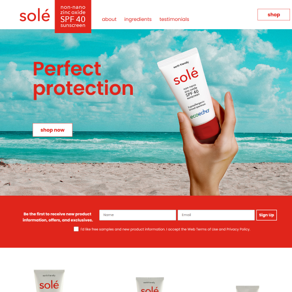 Website preview of Sole Sisters