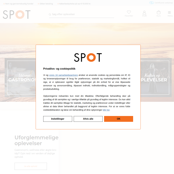 Website preview of Spot-Lite ApS