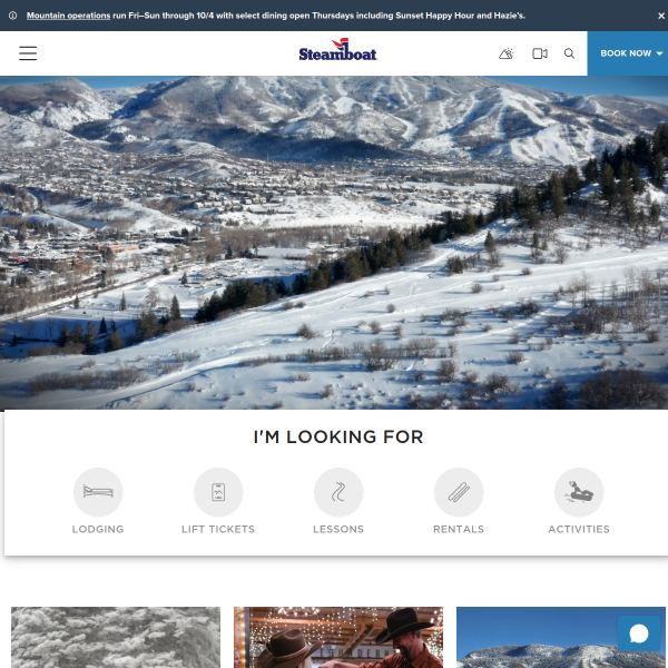 Website preview of steamboat pub llp