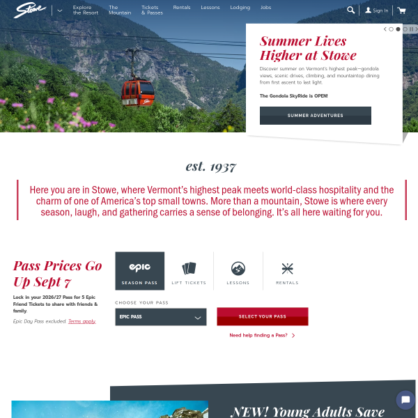 Website preview of Stowe's Auto Supply & Service Center