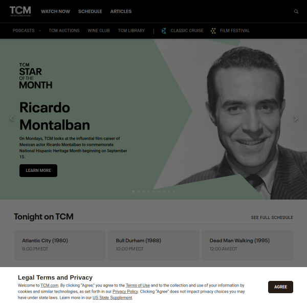 Website preview of tcm opto electronics