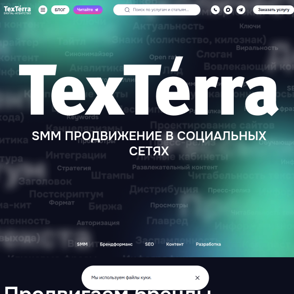 texterra.ru