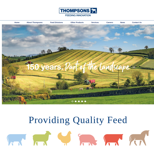 Website preview of THOMPSON PROPERTY HOLDINGS LIMITED