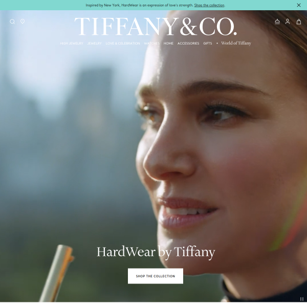 Website preview of TIFFANY ARNONE